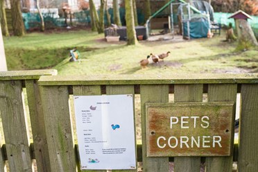 Animal Magic | Care Inspectorate Hub Animal Magic | Care Inspectorate Hub