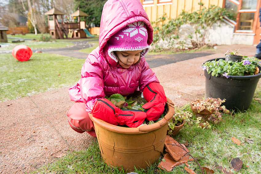 Information for early learning and childcare services image