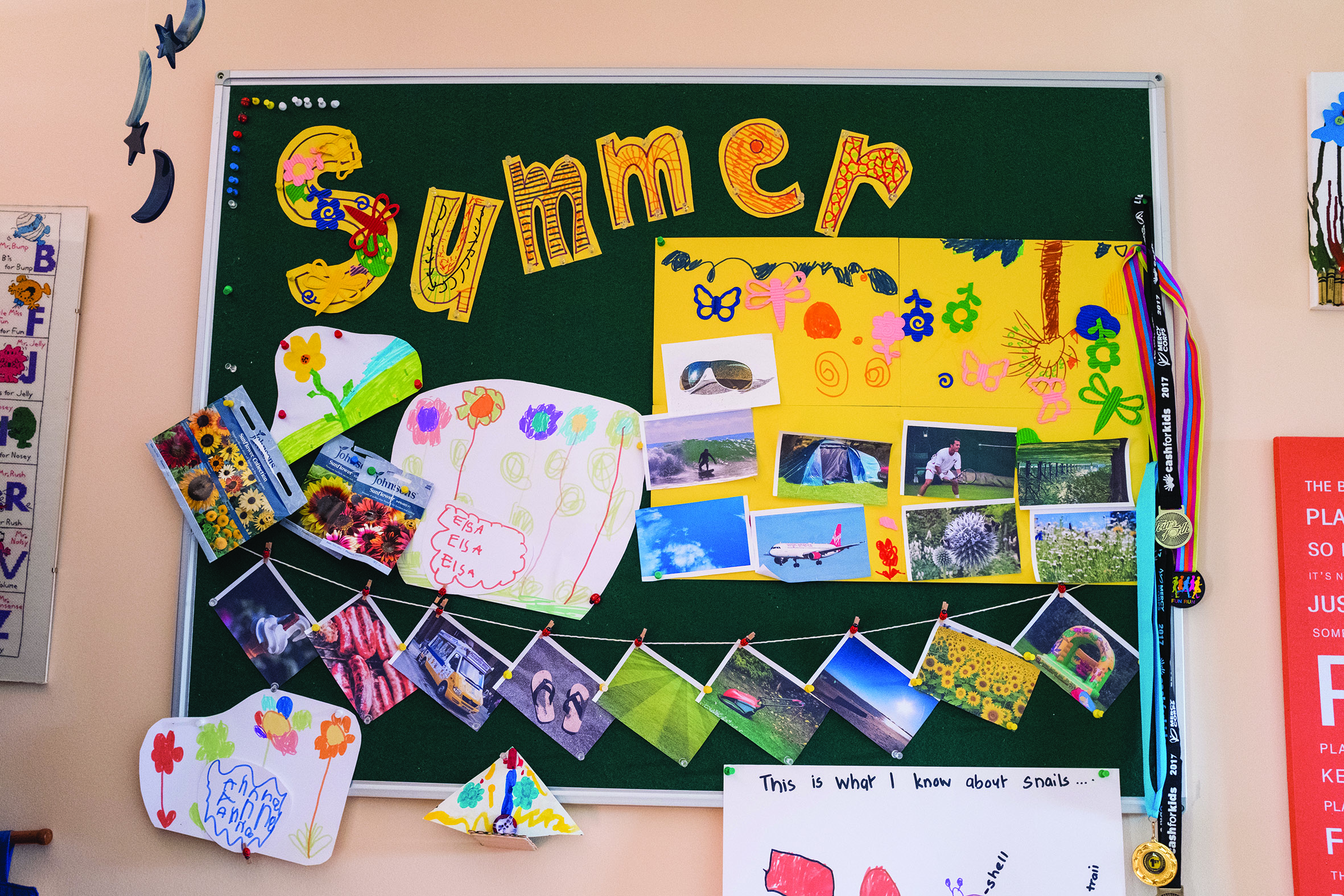 Summer notice board