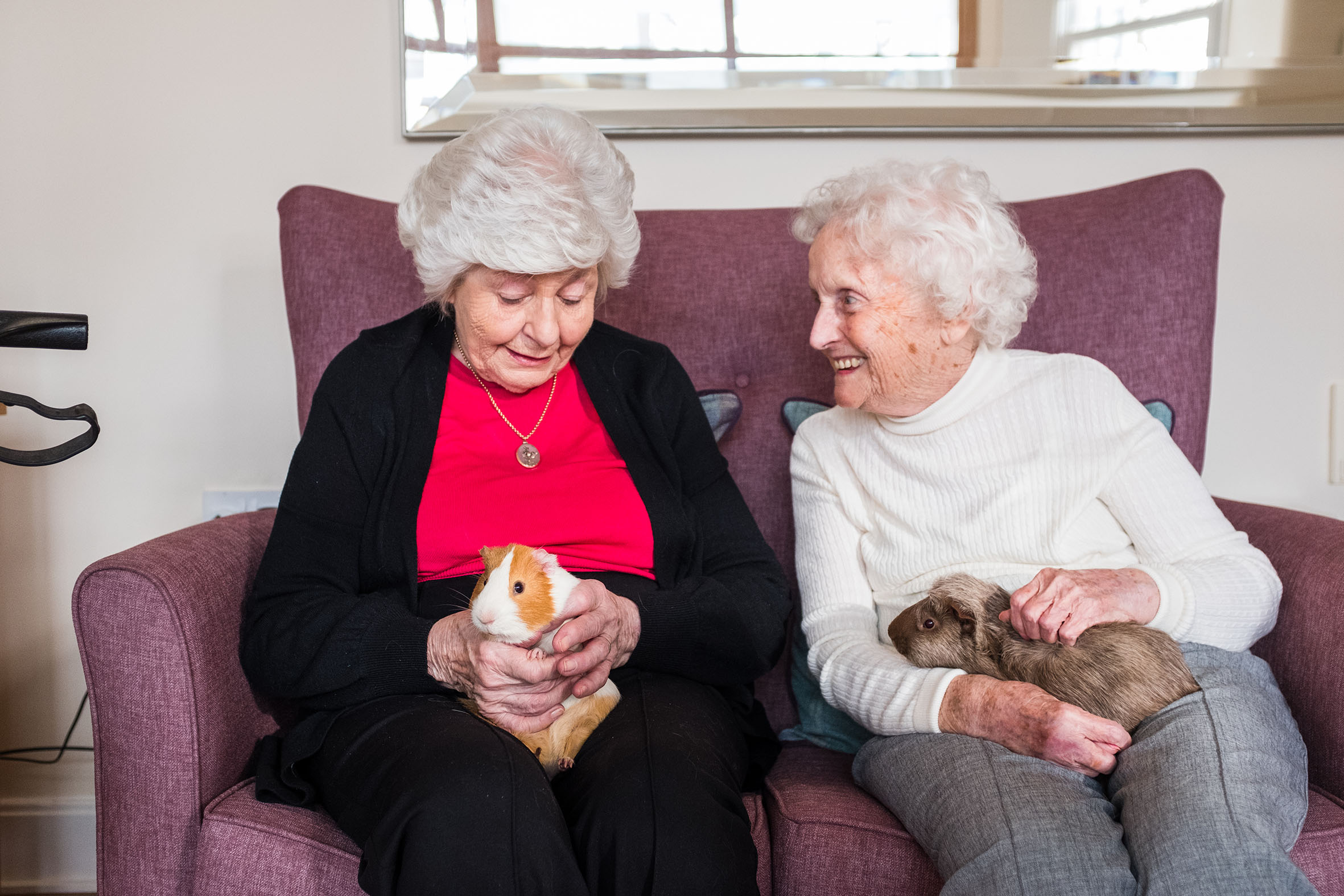 Two older ladies sitting on a sofa, both holding guinea pigs and smiling