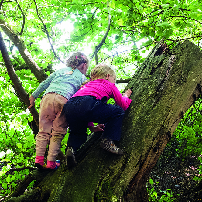 Outdoor play and learning image