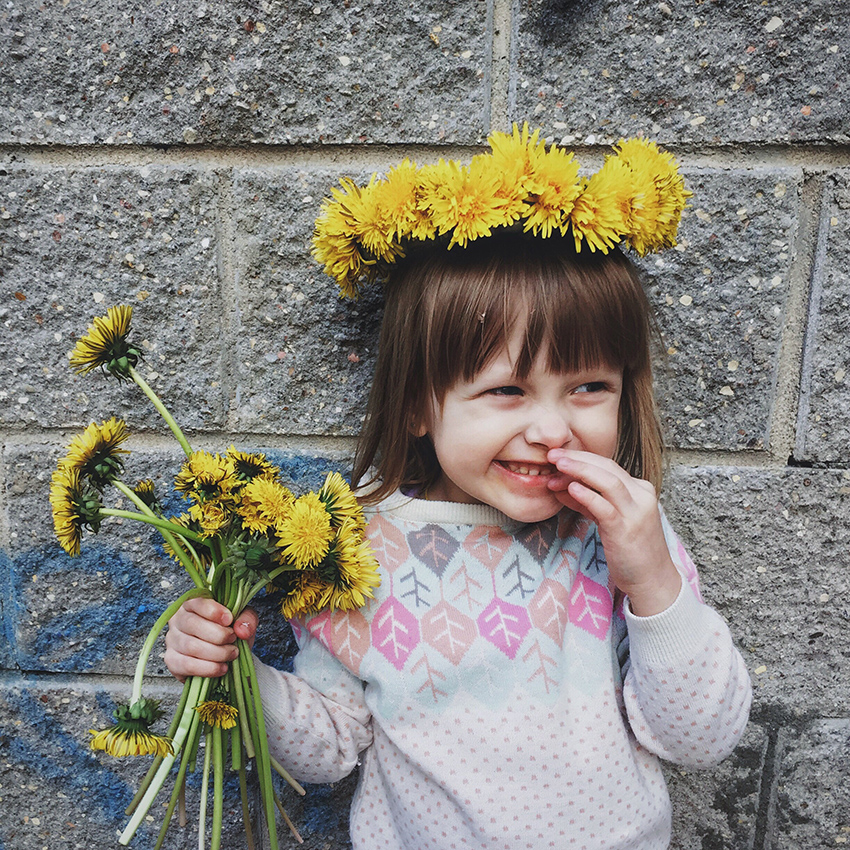 Little girl with dandelions